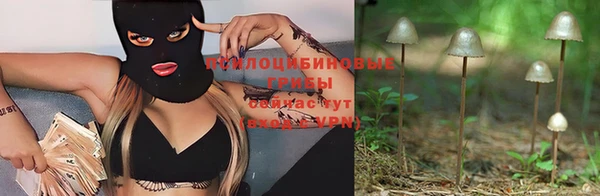 экстази Алексеевка