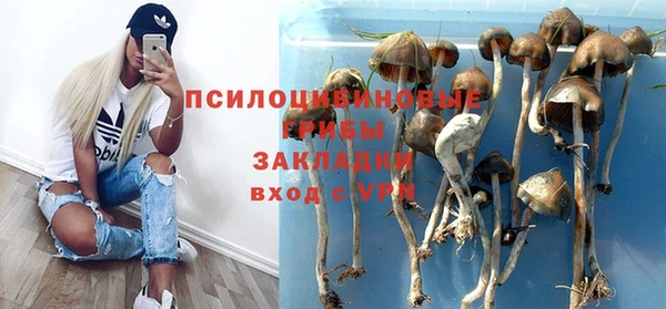 прущая мука Абаза