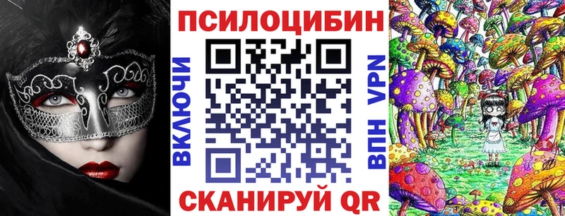 гидра сайт  Одинцово  Псилоцибиновые грибы Psilocybine cubensis 